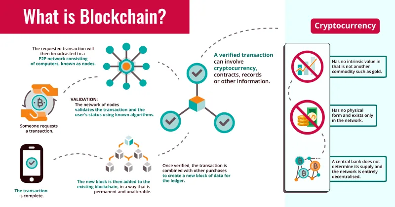 Chain by Chain: Mapping the Blockchain Networks Where Launchpad Projects Go to Die